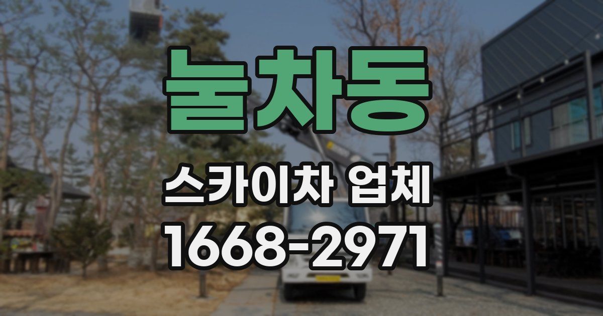 눌차동 스카이차 업체