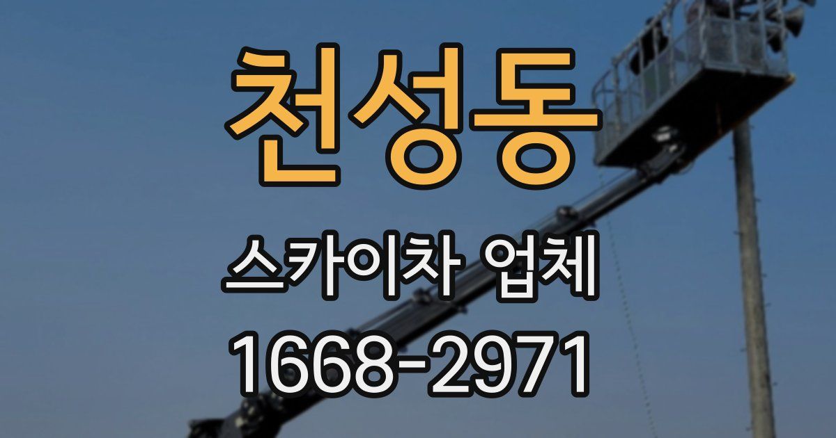 천성동 스카이차 업체