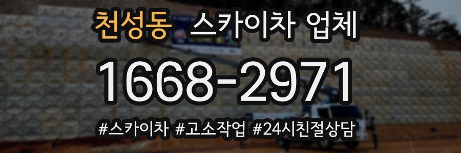 천성동 스카이차 업체