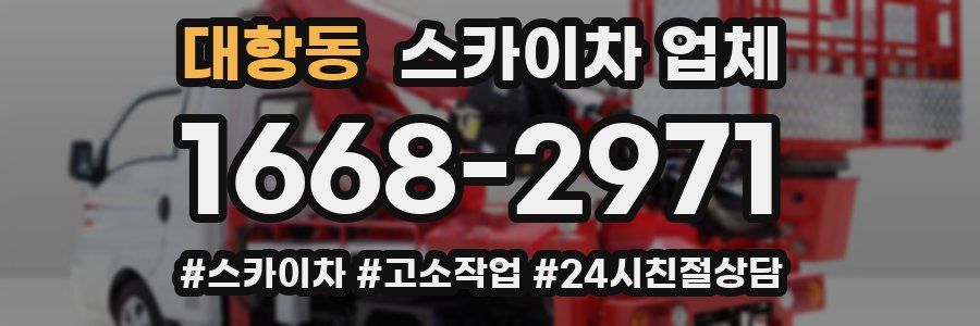 대항동 스카이차 업체