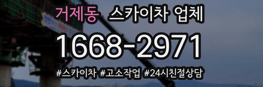 거제동 스카이차 업체