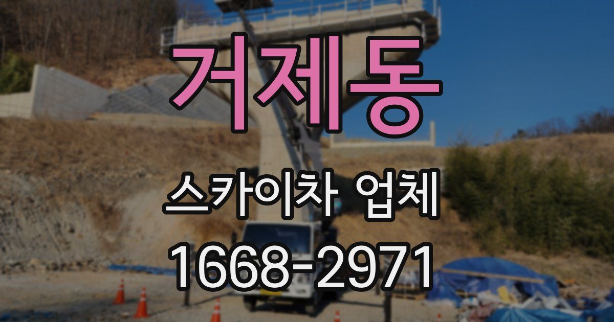 거제동 스카이차 업체