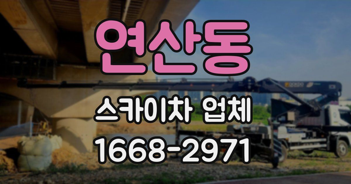 연산동 스카이차 업체