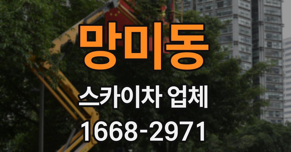 망미동 스카이차 업체