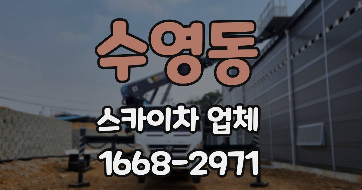 수영동 스카이차 업체