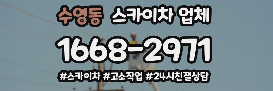 수영동 스카이차 업체