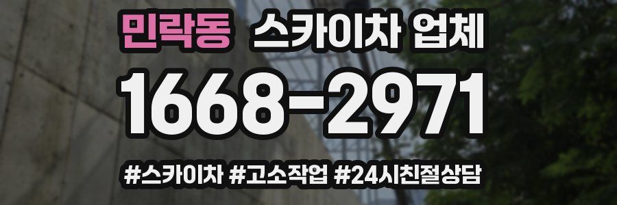 민락동 스카이차 업체
