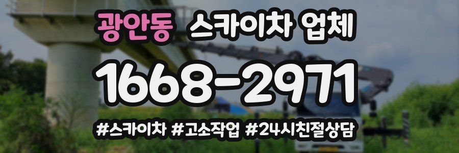 광안동 스카이차 업체