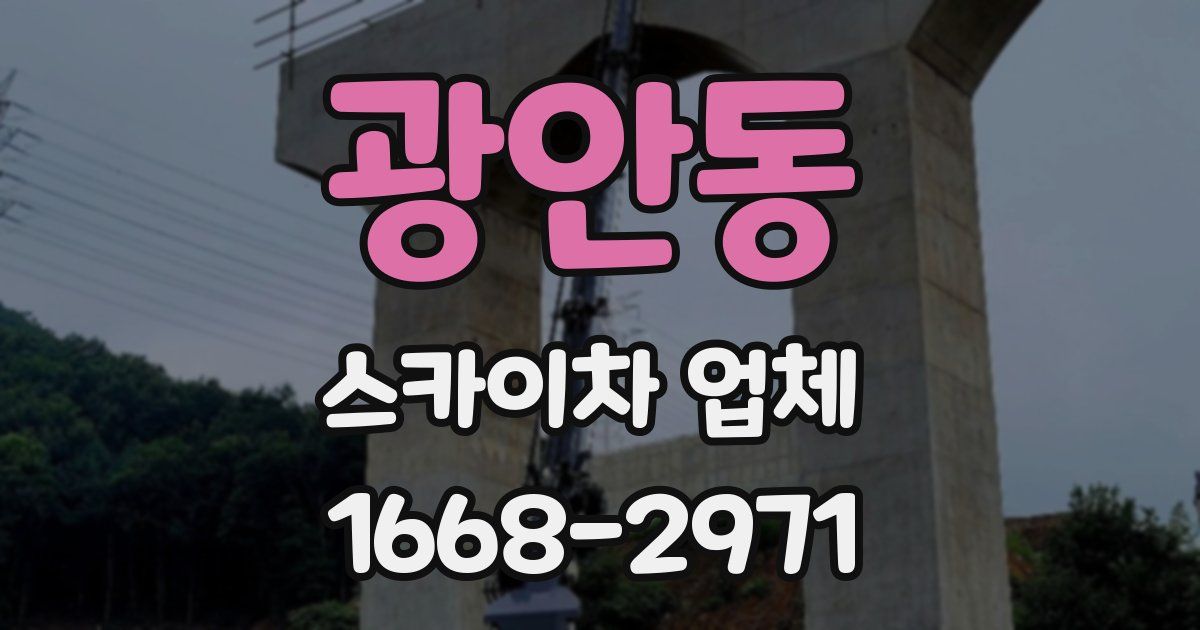 광안동 스카이차 업체