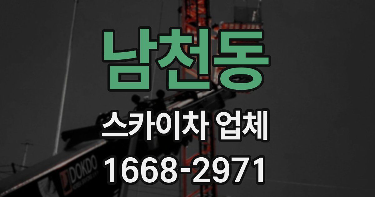 남천동 스카이차 업체