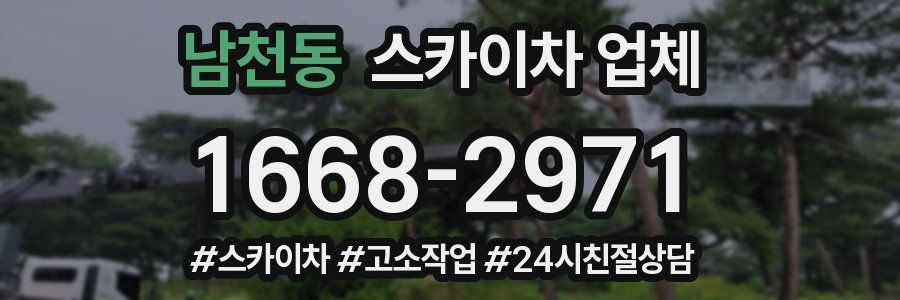 남천동 스카이차 업체