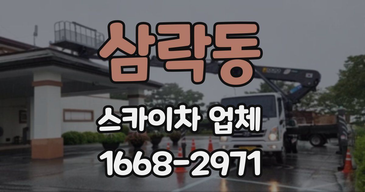 삼락동 스카이차 업체