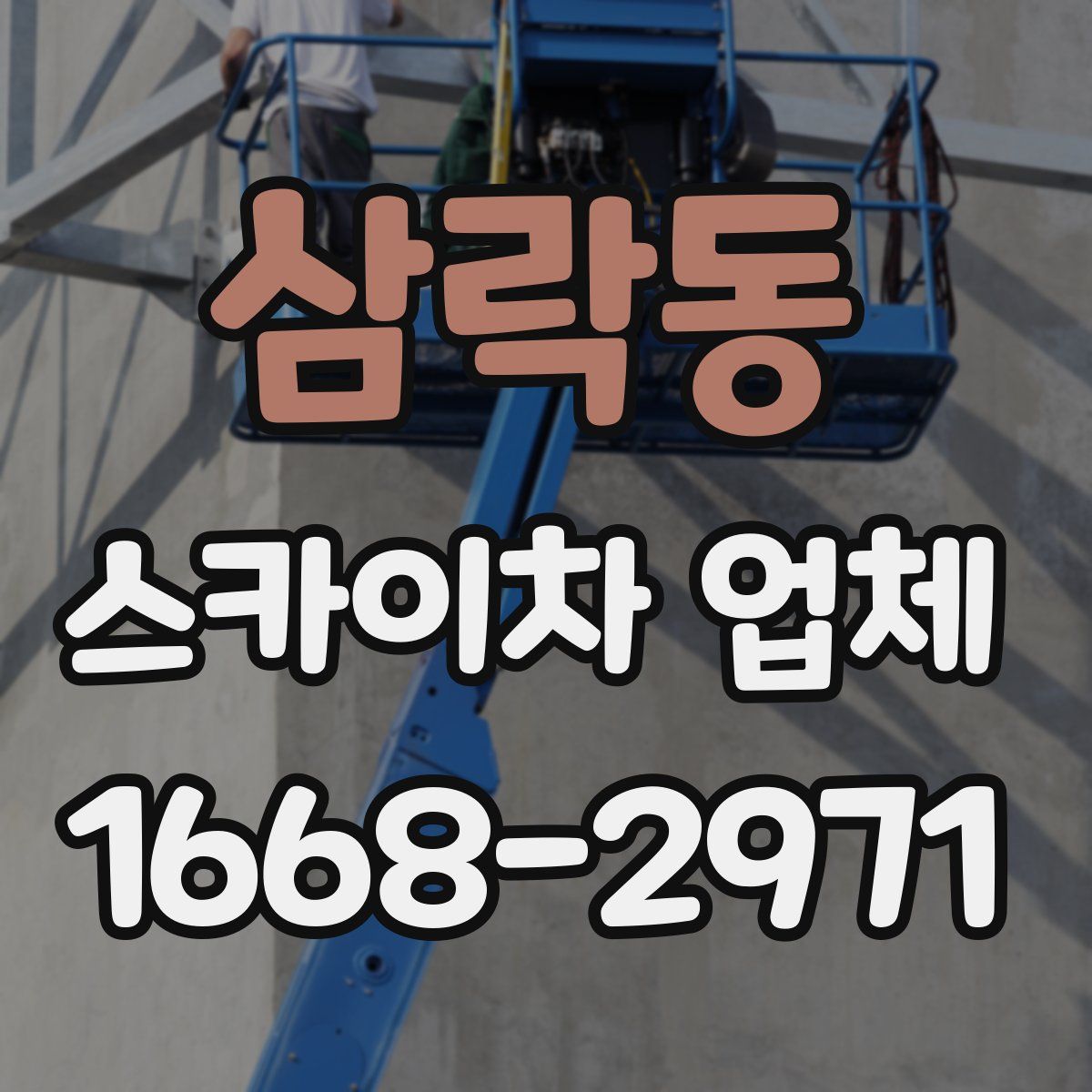 삼락동 스카이차 업체