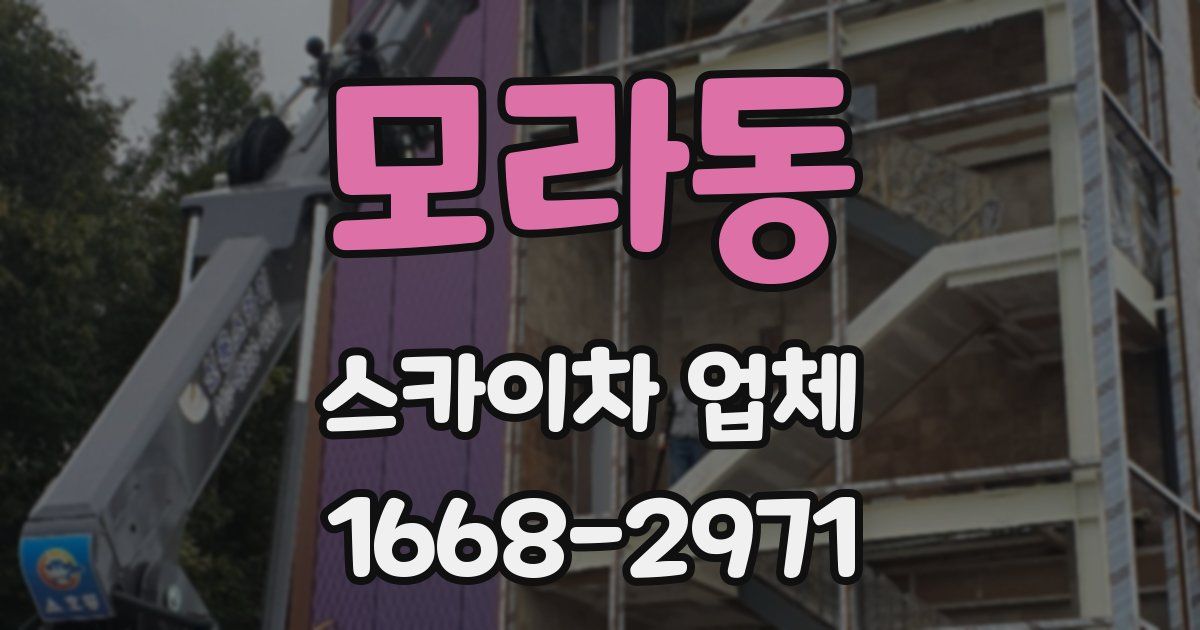 모라동 스카이차 업체