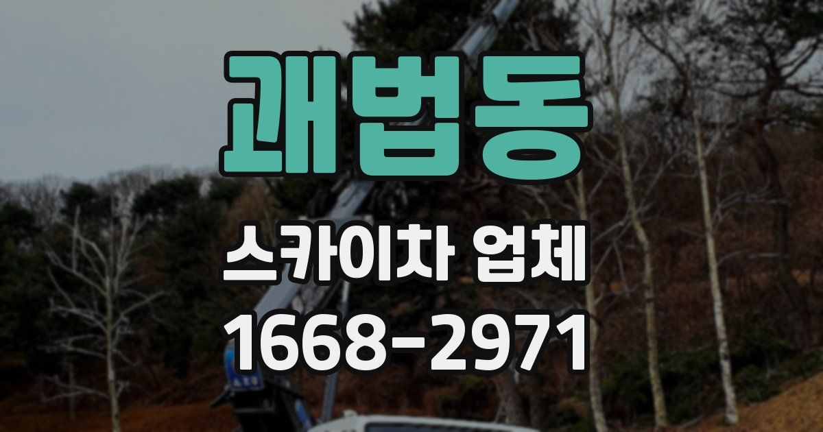 괘법동 스카이차 업체