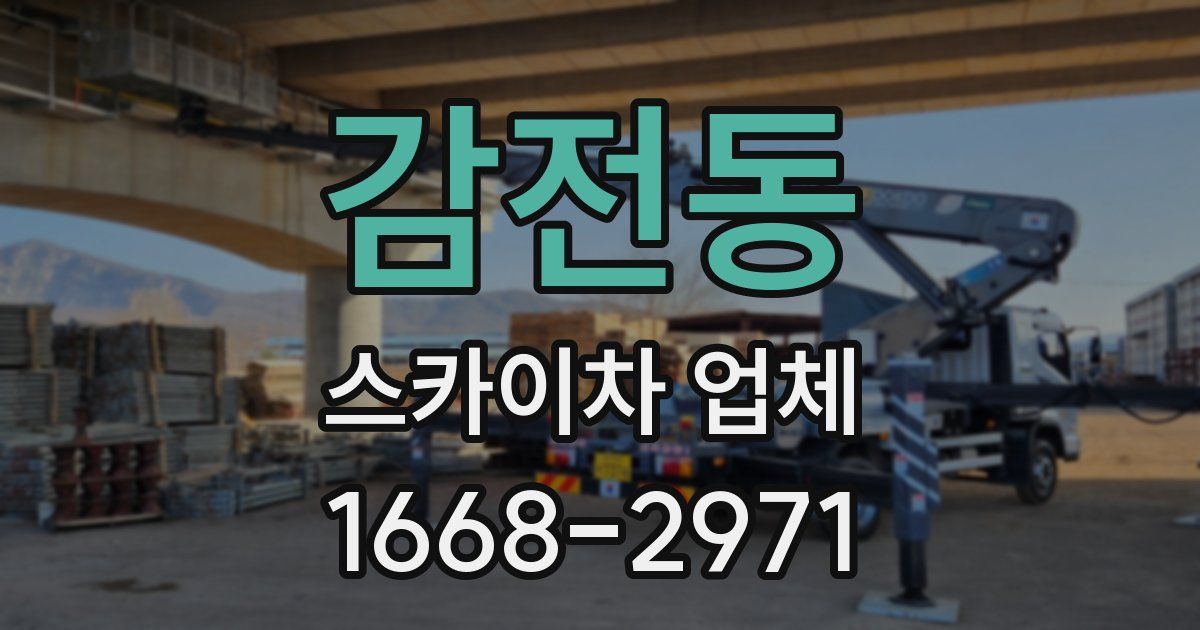 감전동 스카이차 업체