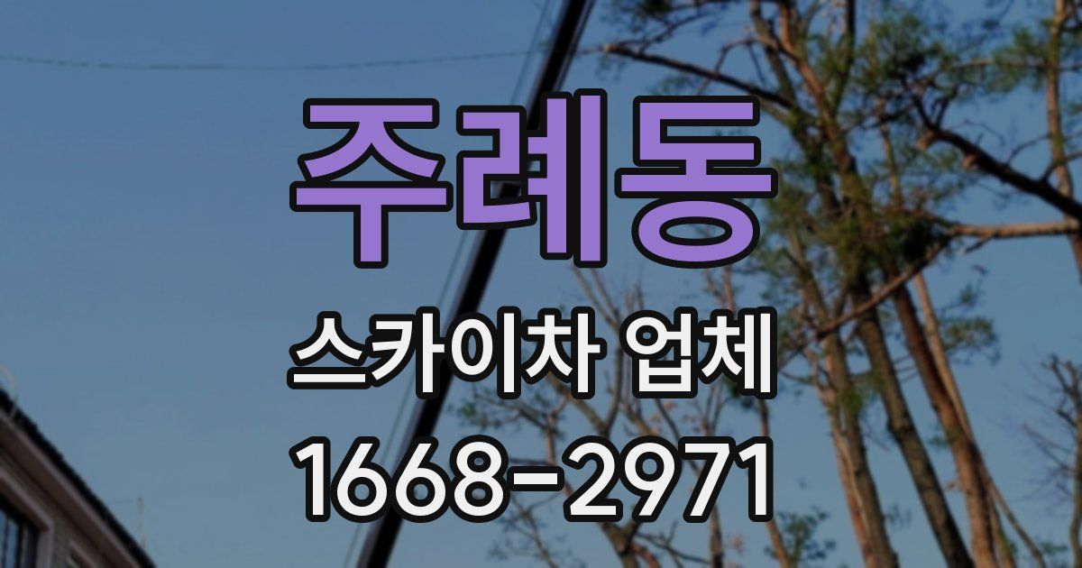 주례동 스카이차 업체