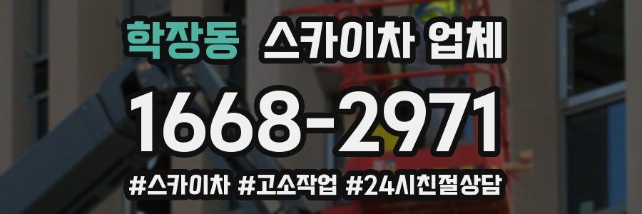 학장동 스카이차 업체