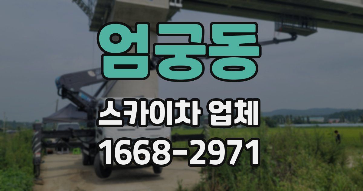 엄궁동 스카이차 업체