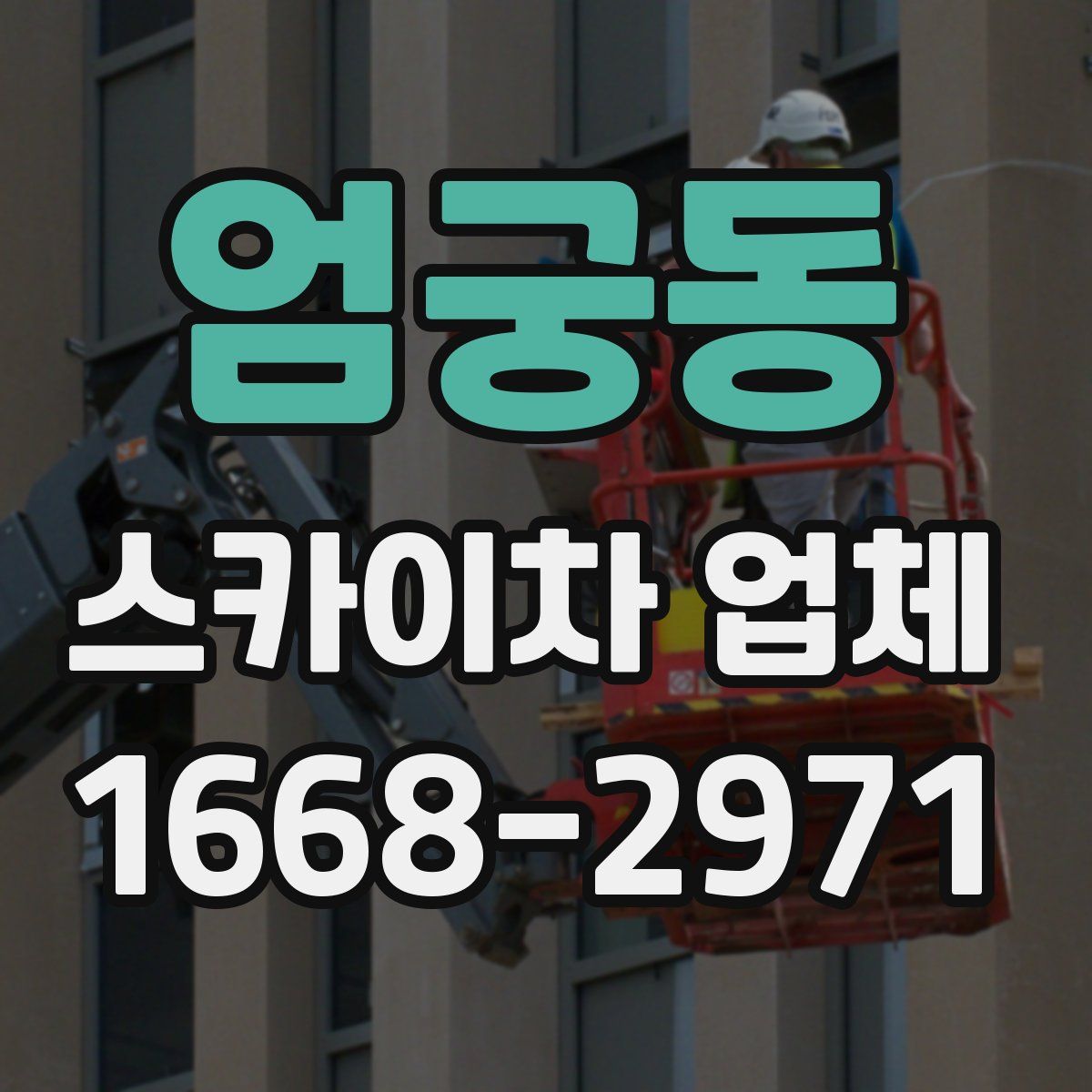 엄궁동 스카이차 업체