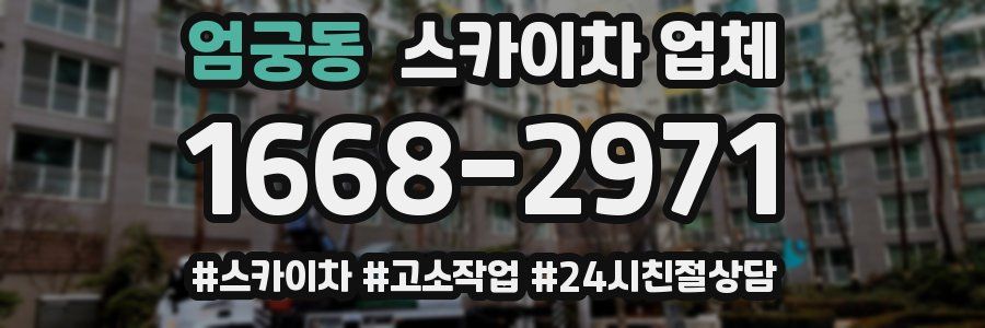 엄궁동 스카이차 업체