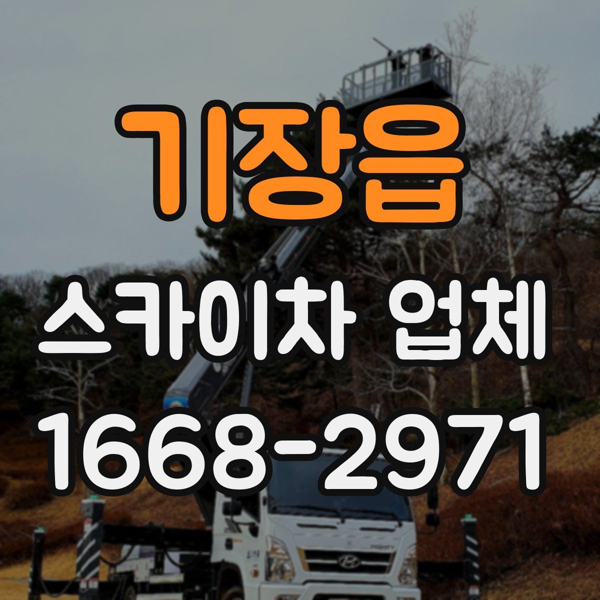 기장읍 스카이차 업체