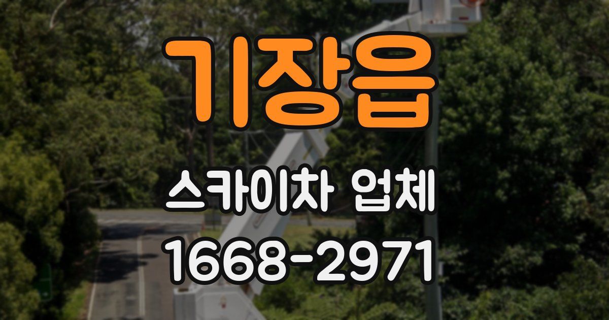 기장읍 스카이차 업체