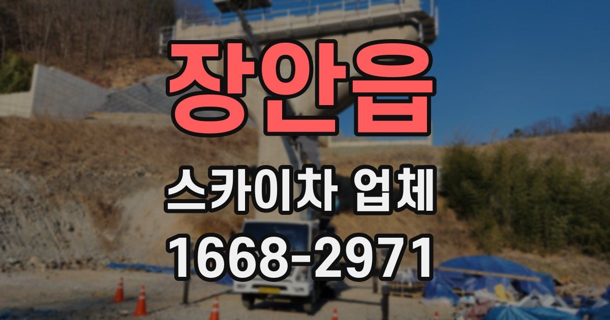 장안읍 스카이차 업체
