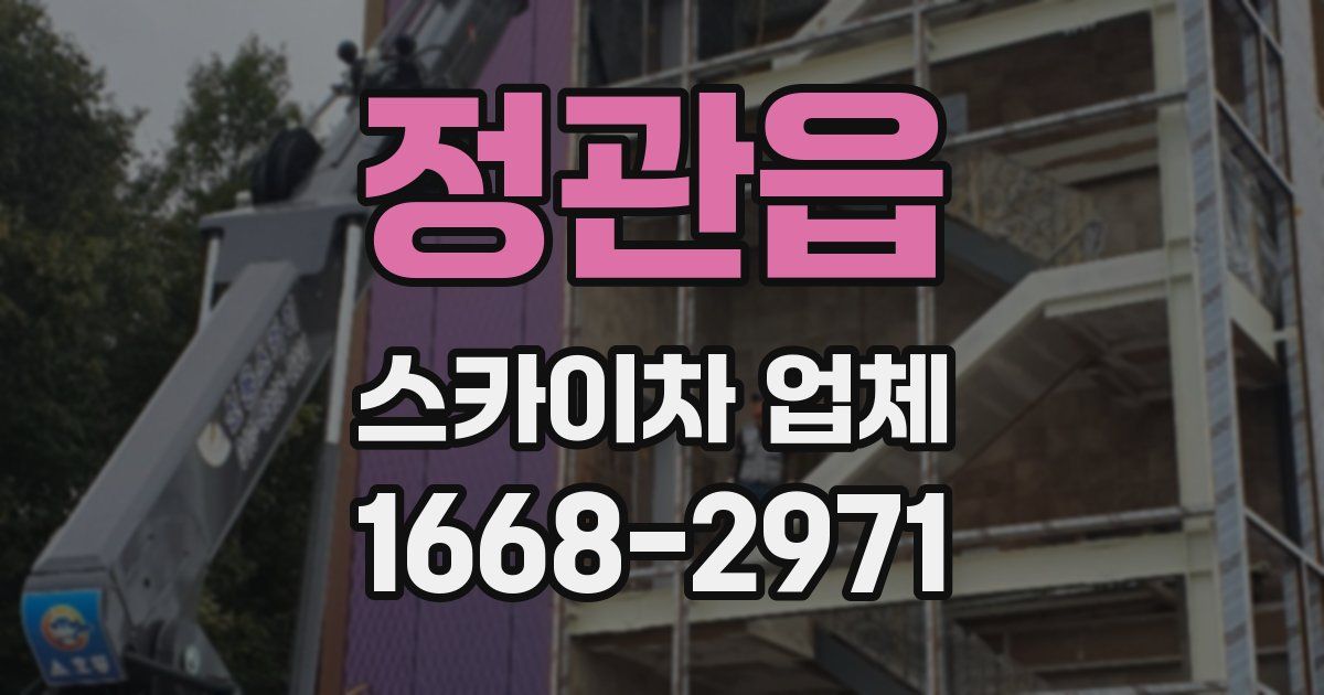 정관읍 스카이차 업체