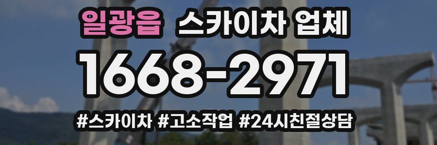일광읍 스카이차 업체