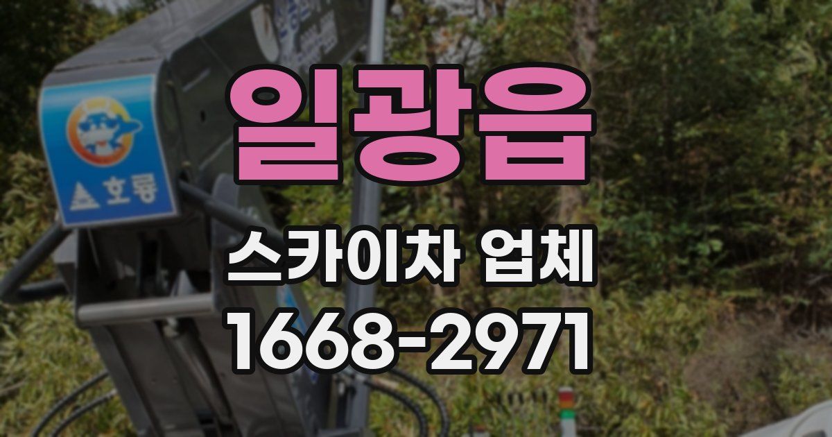 일광읍 스카이차 업체