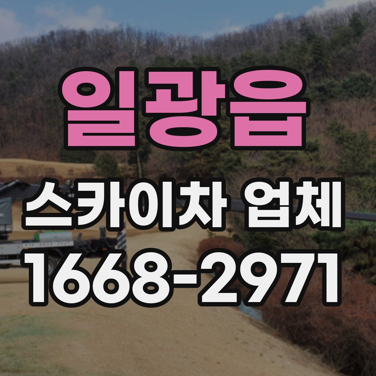 일광읍 스카이차 업체