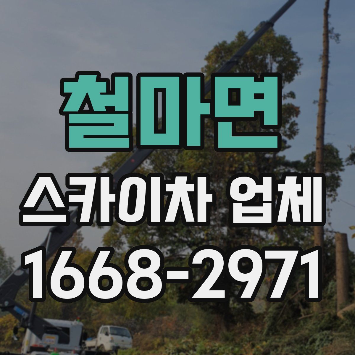 철마면 스카이차 업체