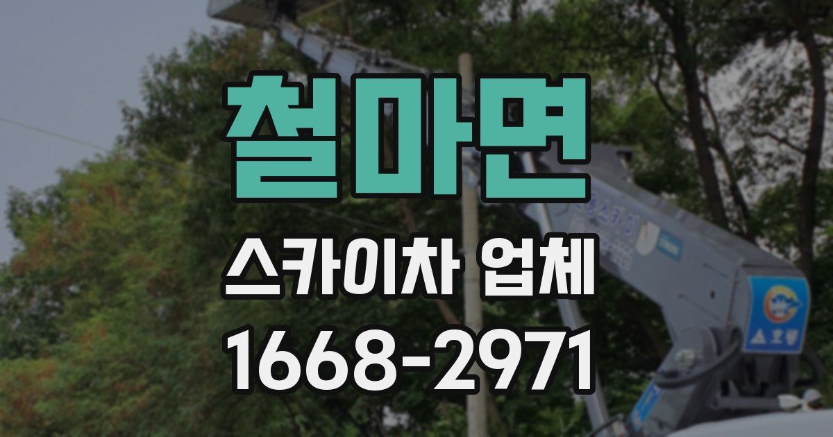 철마면 스카이차 업체