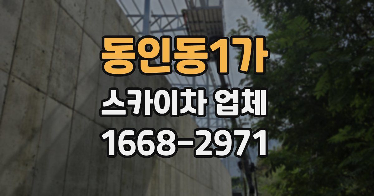 동인동1가 스카이차 업체