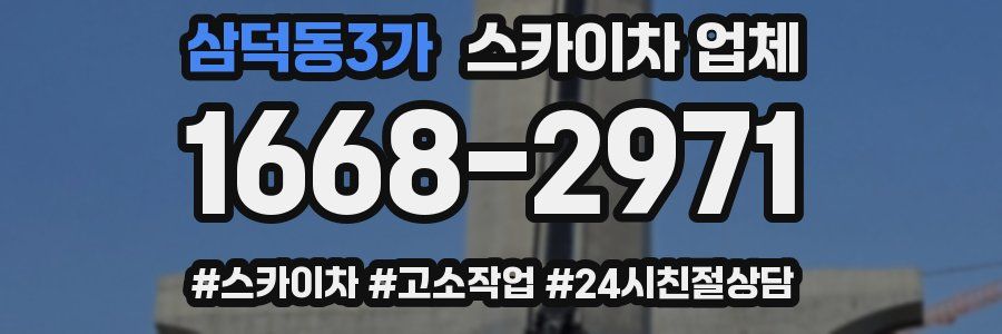 삼덕동3가 스카이차 업체