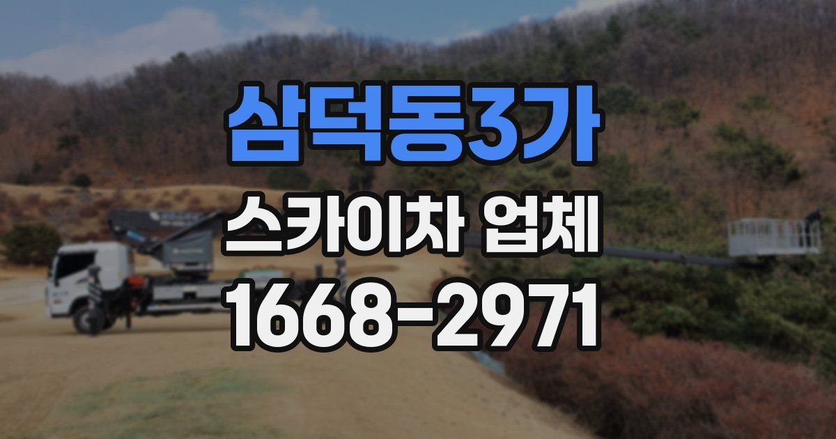 삼덕동3가 스카이차 업체