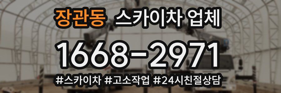 장관동 스카이차 업체