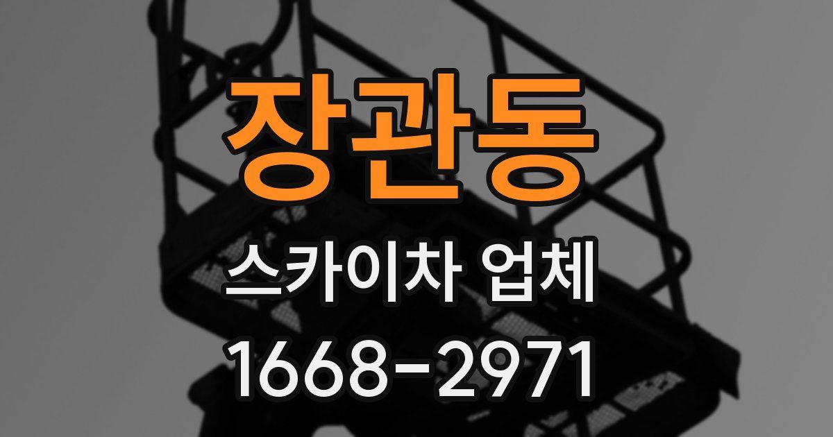 장관동 스카이차 업체