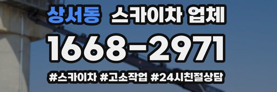 상서동 스카이차 업체