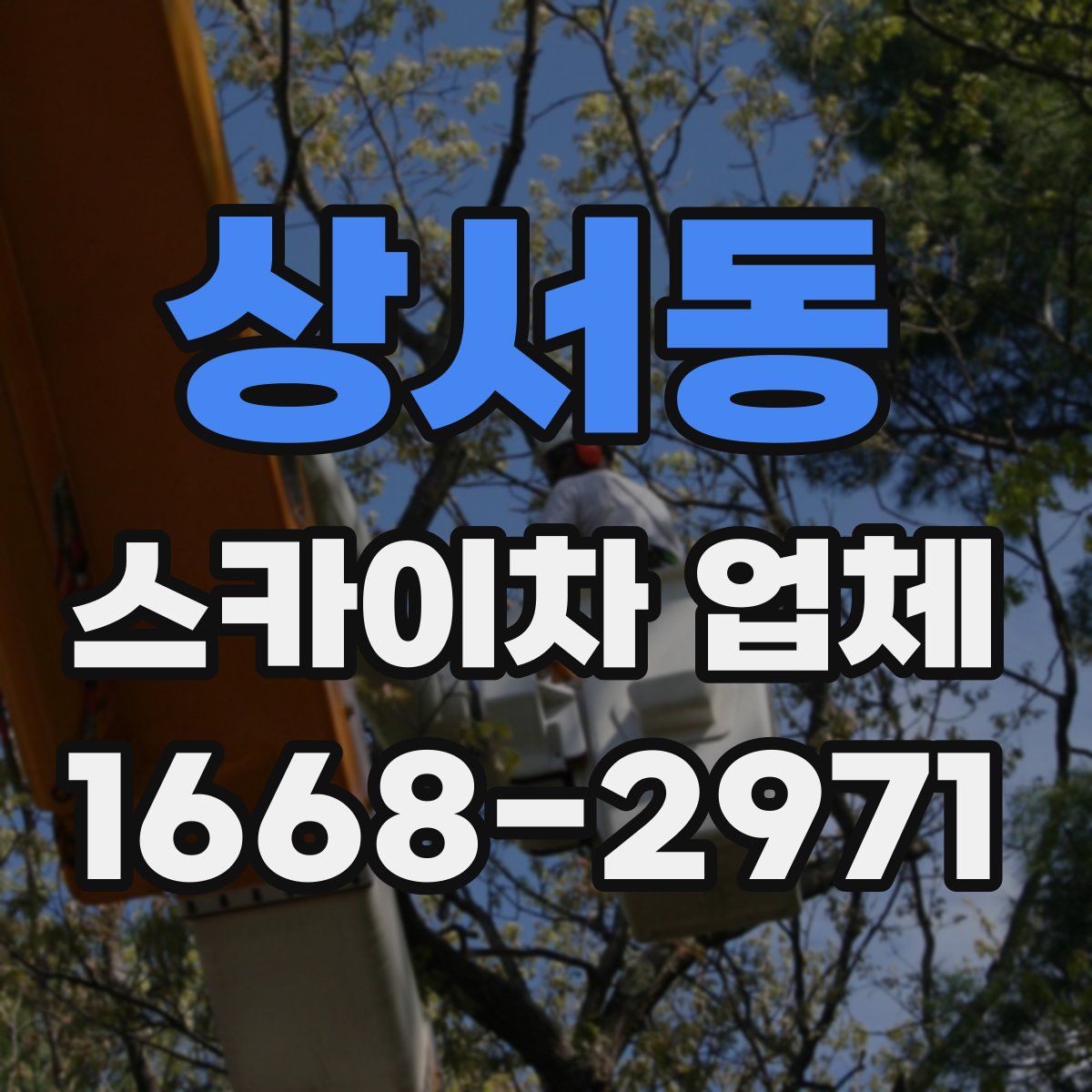 상서동 스카이차 업체