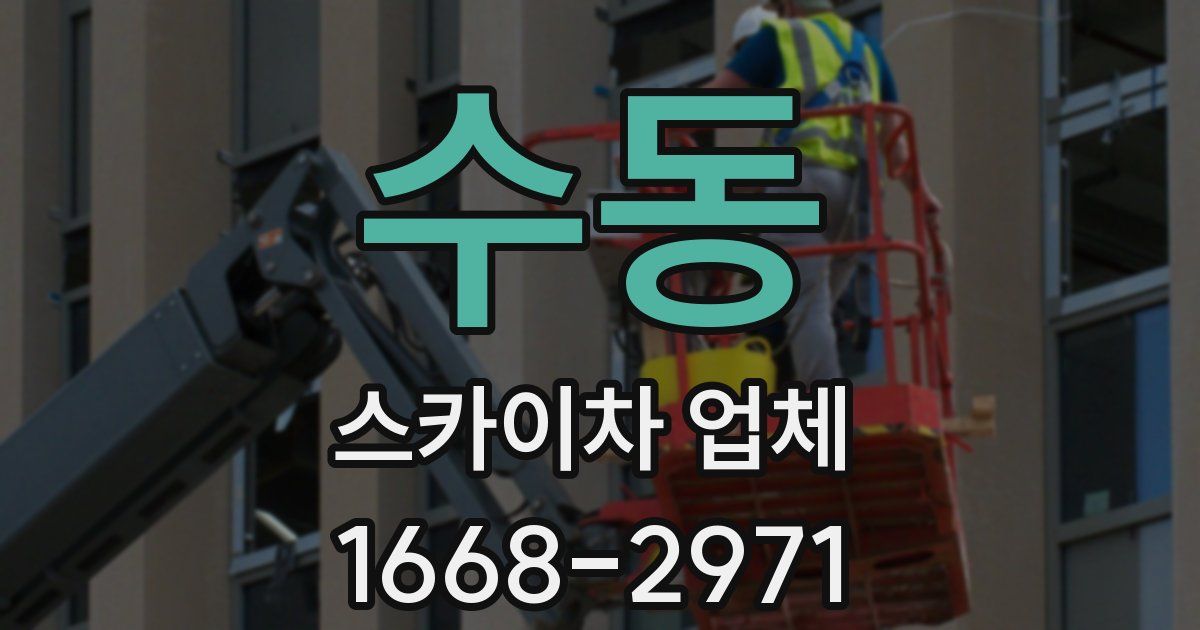 수동 스카이차 업체