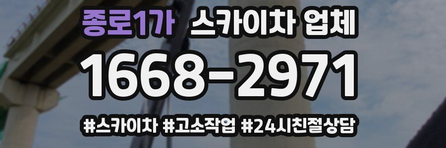 종로1가 스카이차 업체