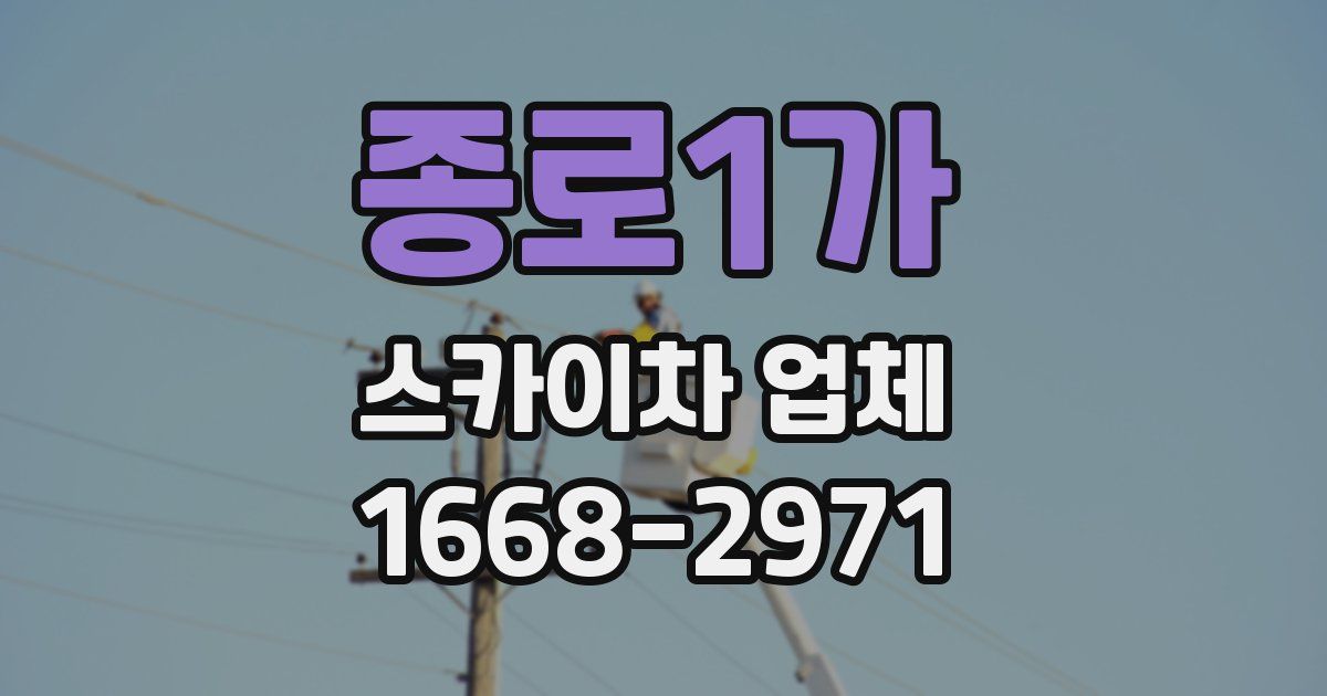 종로1가 스카이차 업체
