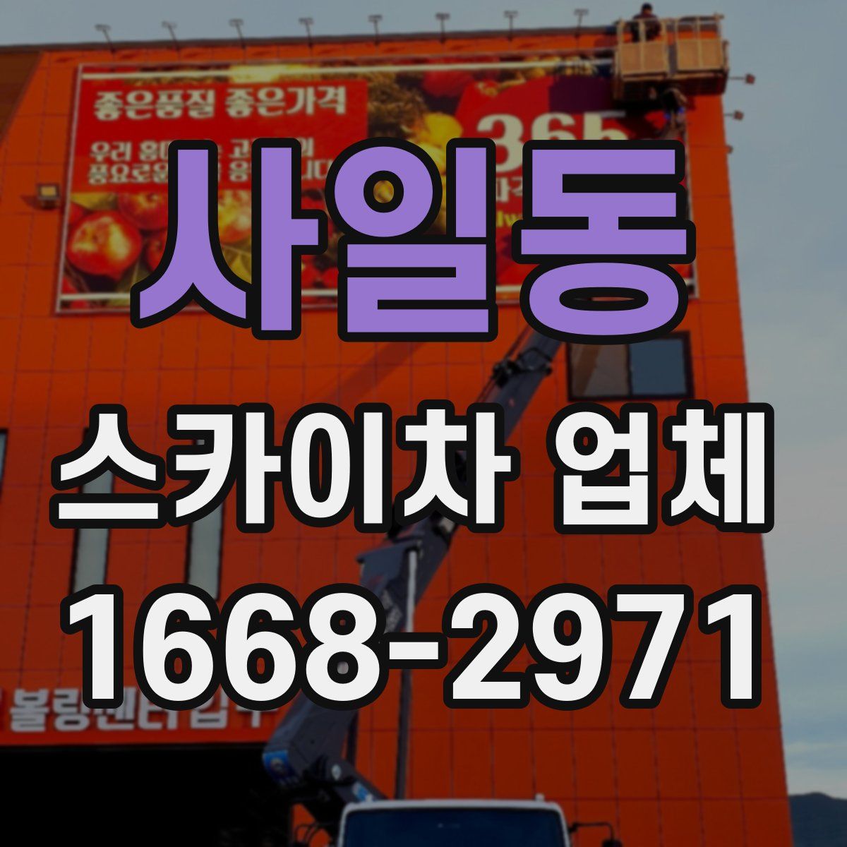 사일동 스카이차 업체