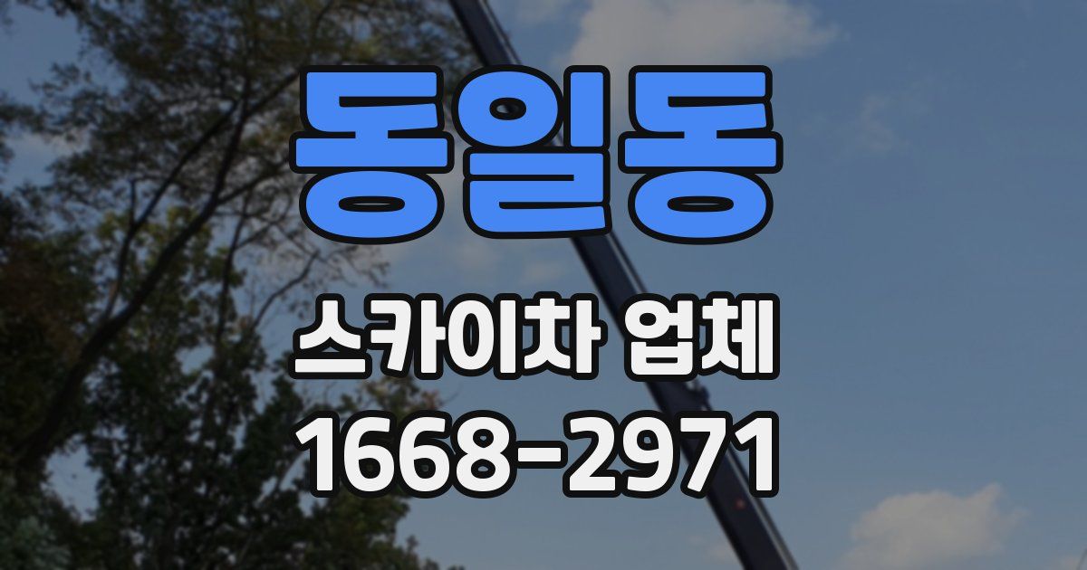 동일동 스카이차 업체
