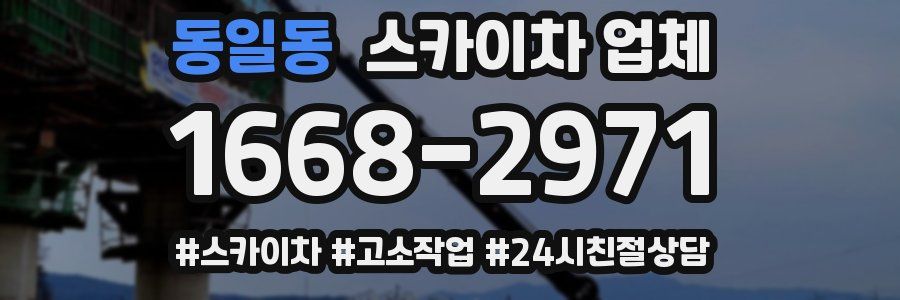 동일동 스카이차 업체