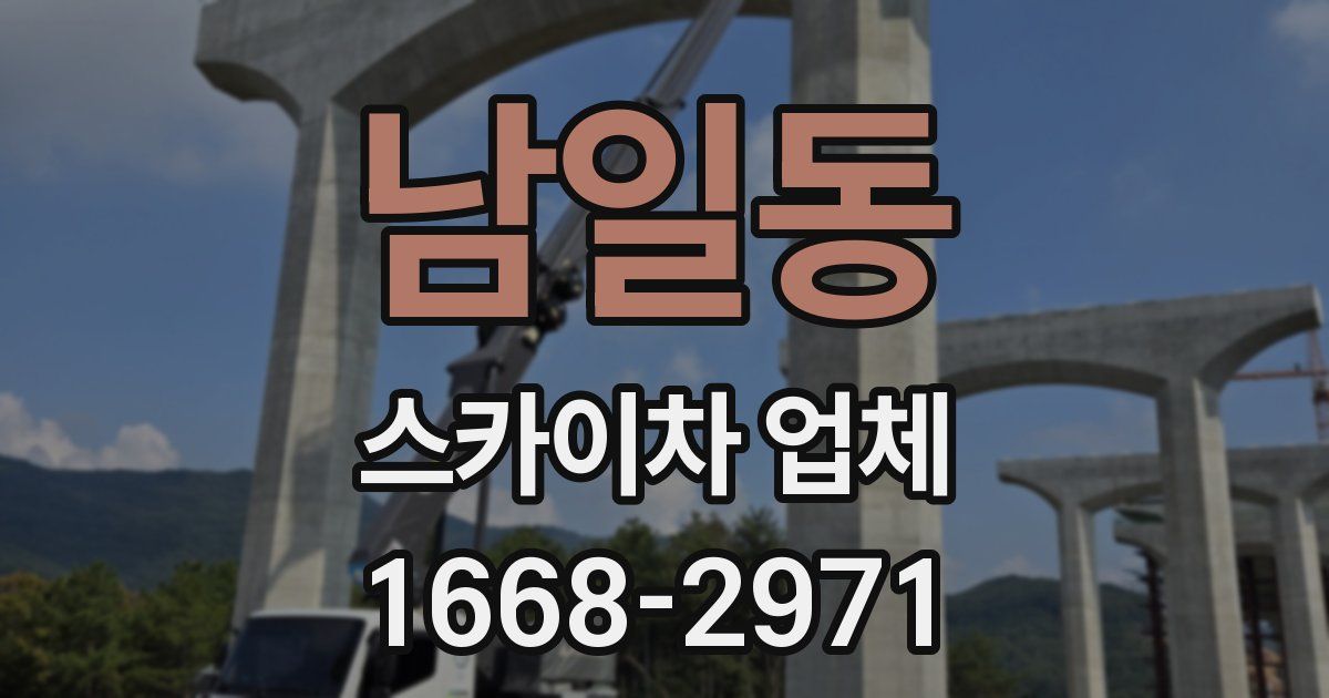 남일동 스카이차 업체