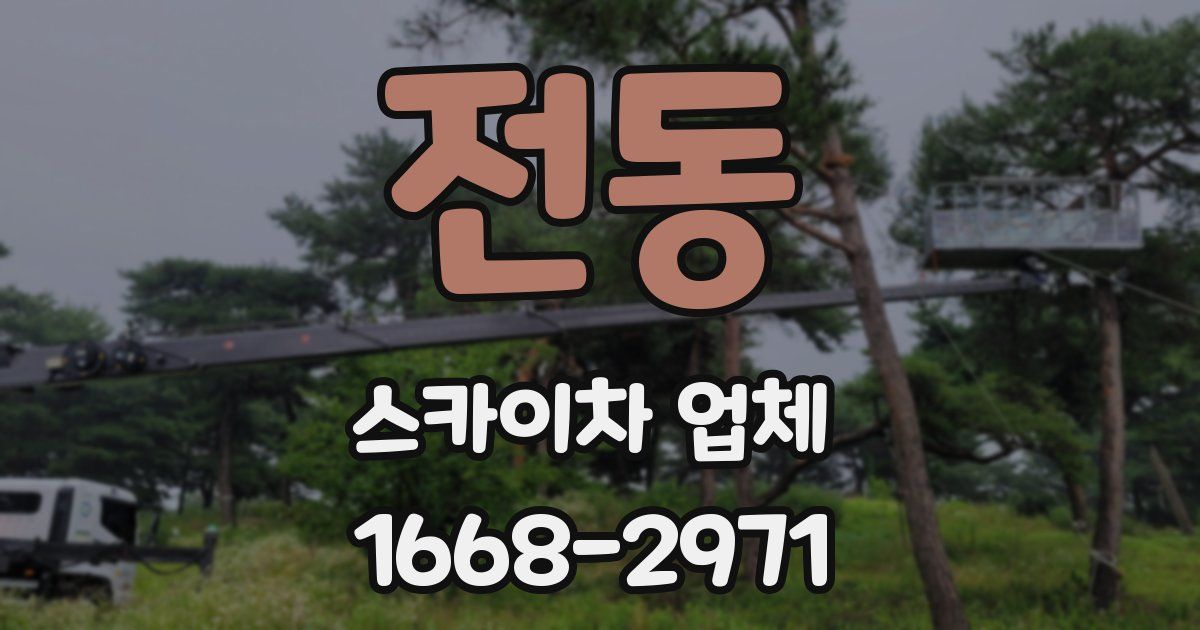 전동 스카이차 업체
