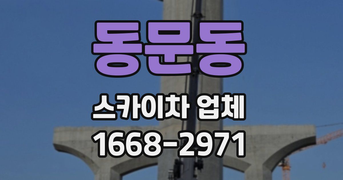 동문동 스카이차 업체